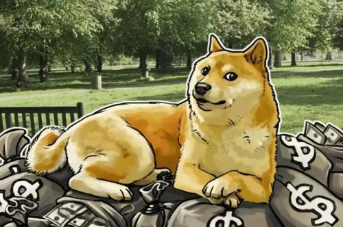 狗狗币可以放tp钱包吗，狗狗币可以提到哪个钱包