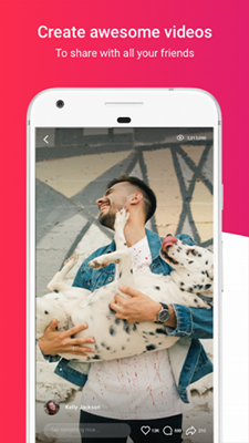 video star汉化版本