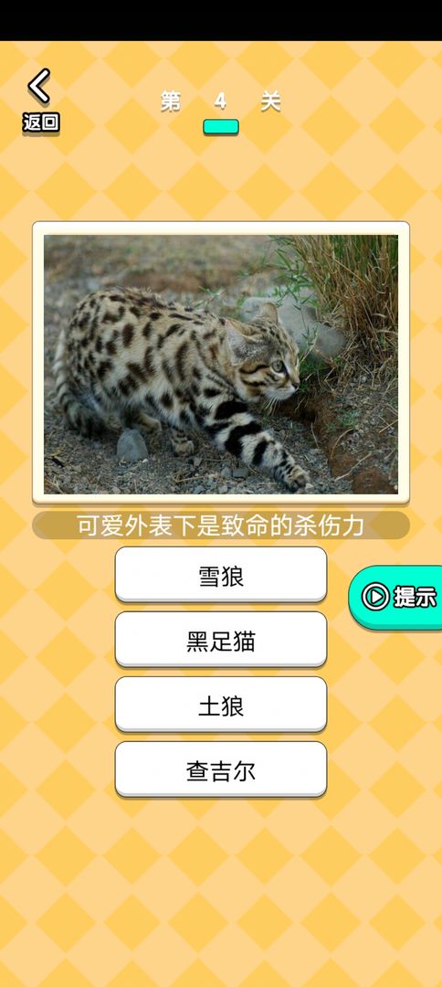 开心动物农场下载