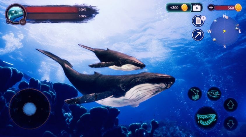 鲸鱼潜水模拟器游戏最新手机版v1.0.1