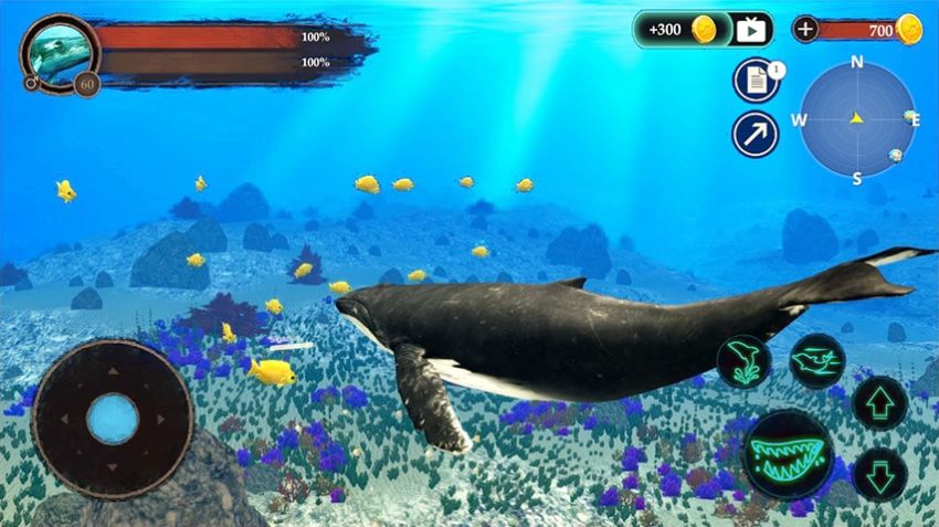 鲸鱼潜水模拟器游戏最新手机版v1.0.1