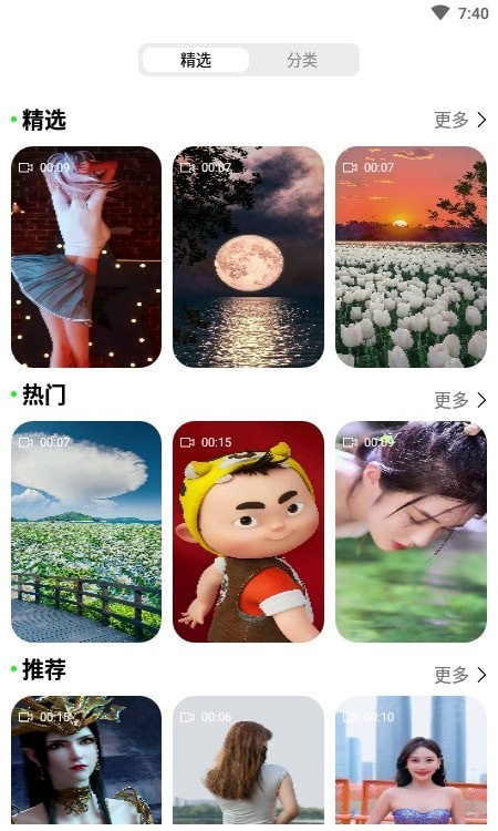 飞花动态壁纸安卓版下载