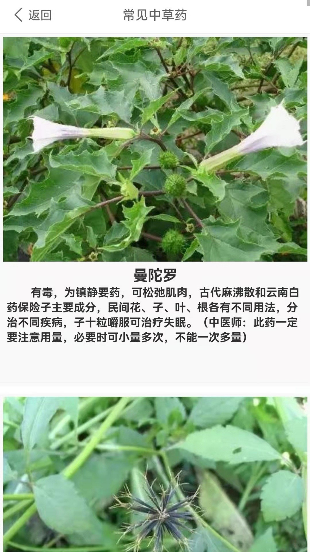 养生健康减肥安卓版