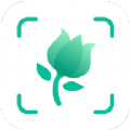 拍照识别植物app