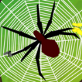 闲置蜘蛛游戏最新手机版0.2