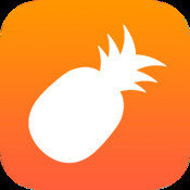菠萝视频app版下载最新