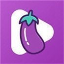 eggplant视频官方版