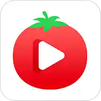 番茄app最新版本ios