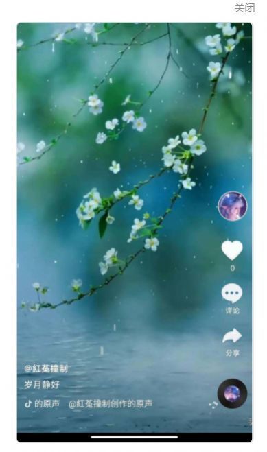 全民刷刷app安卓版下载