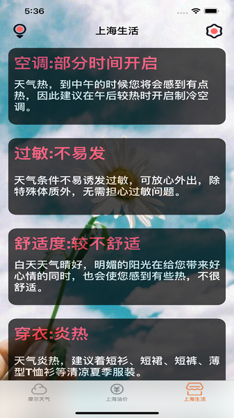 摩尔出行app苹果版