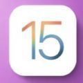 iOS15.1.1描述文件  v1.0