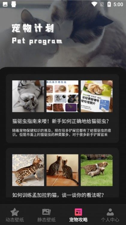 猫咪切换壁纸APP