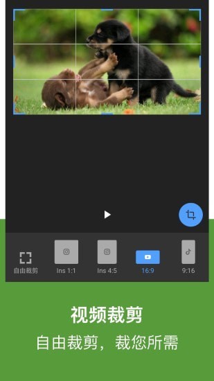驴蛙视频全能王app