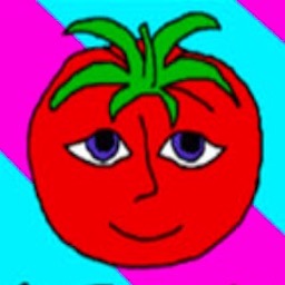 番茄先生无限道具版下载v1.1.6  v1.1.6