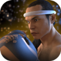 泰拳2:格斗冲突最新安卓版  1.05