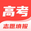 阳光高考网app