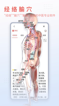 3dbody解剖安装包