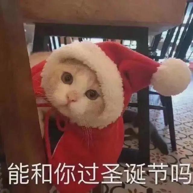 我可爱成这样做你的圣诞礼物好不好表情包