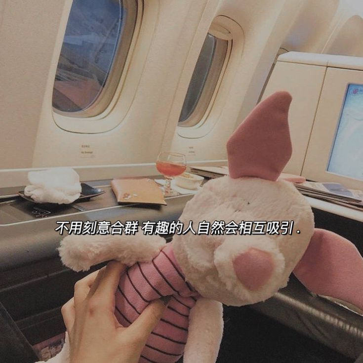 一岁一礼一寸一欢喜2023全糖去冰图片